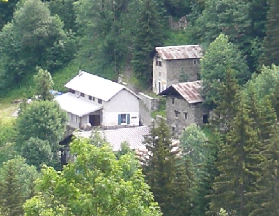 Callieri